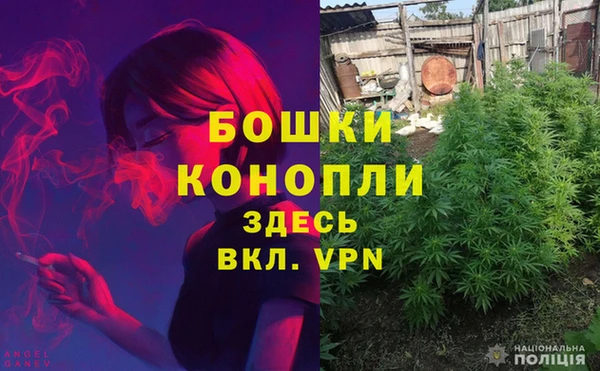 твердый Дмитровск