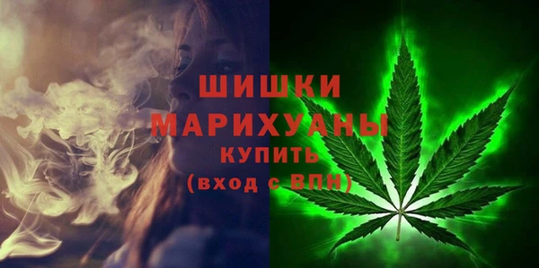 2c-b Дмитриев