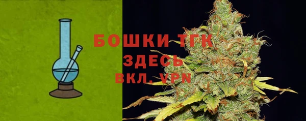 твердый Дмитровск