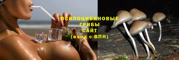 MDMA Premium VHQ Верхний Тагил