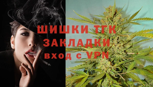 твердый Дмитровск
