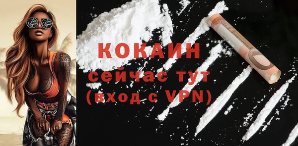 твердый Дмитровск